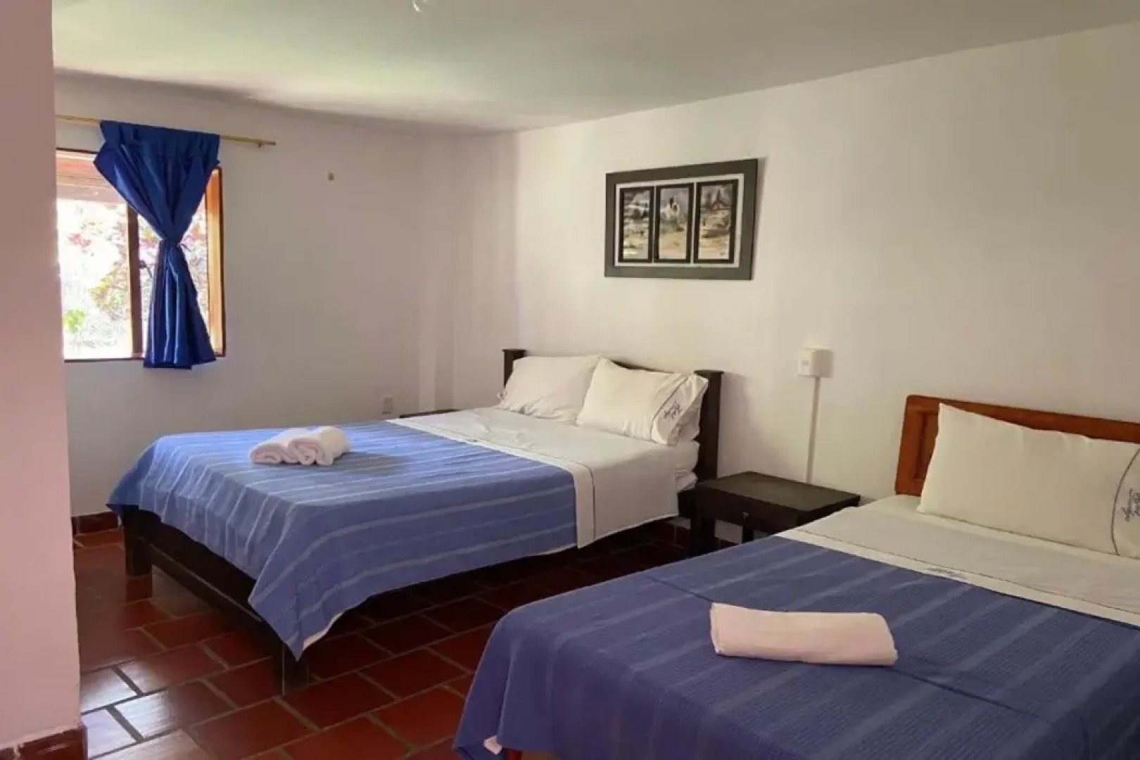 Hotel Campestre Davileja