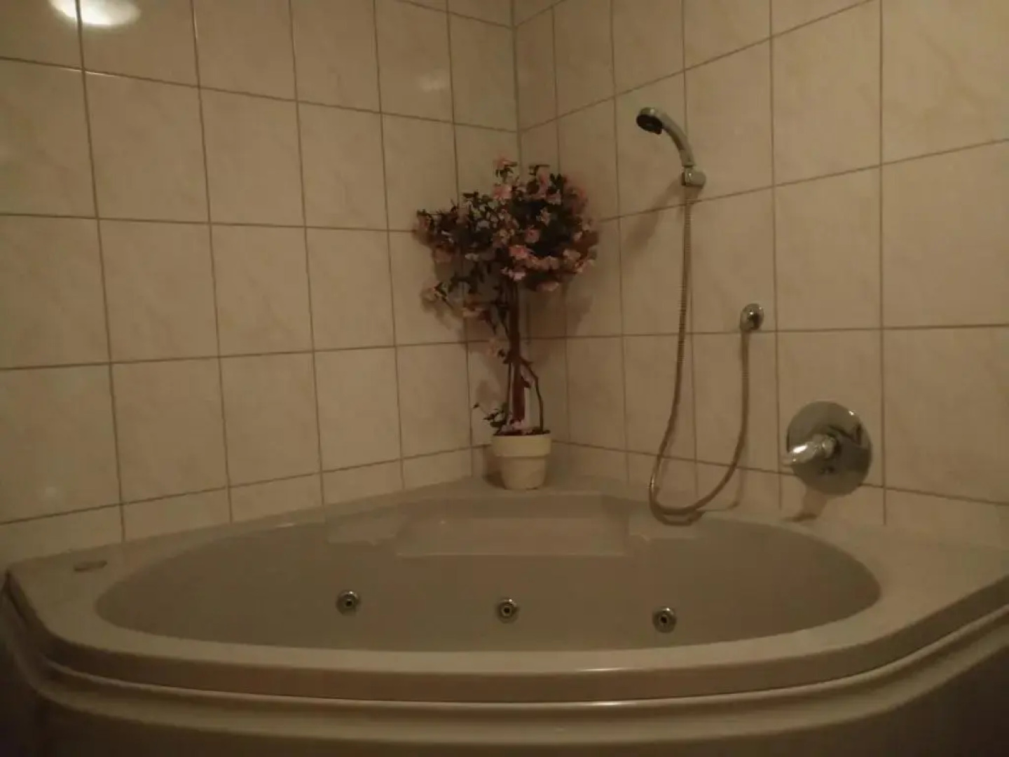 Ferienhaus Börsengasse 1