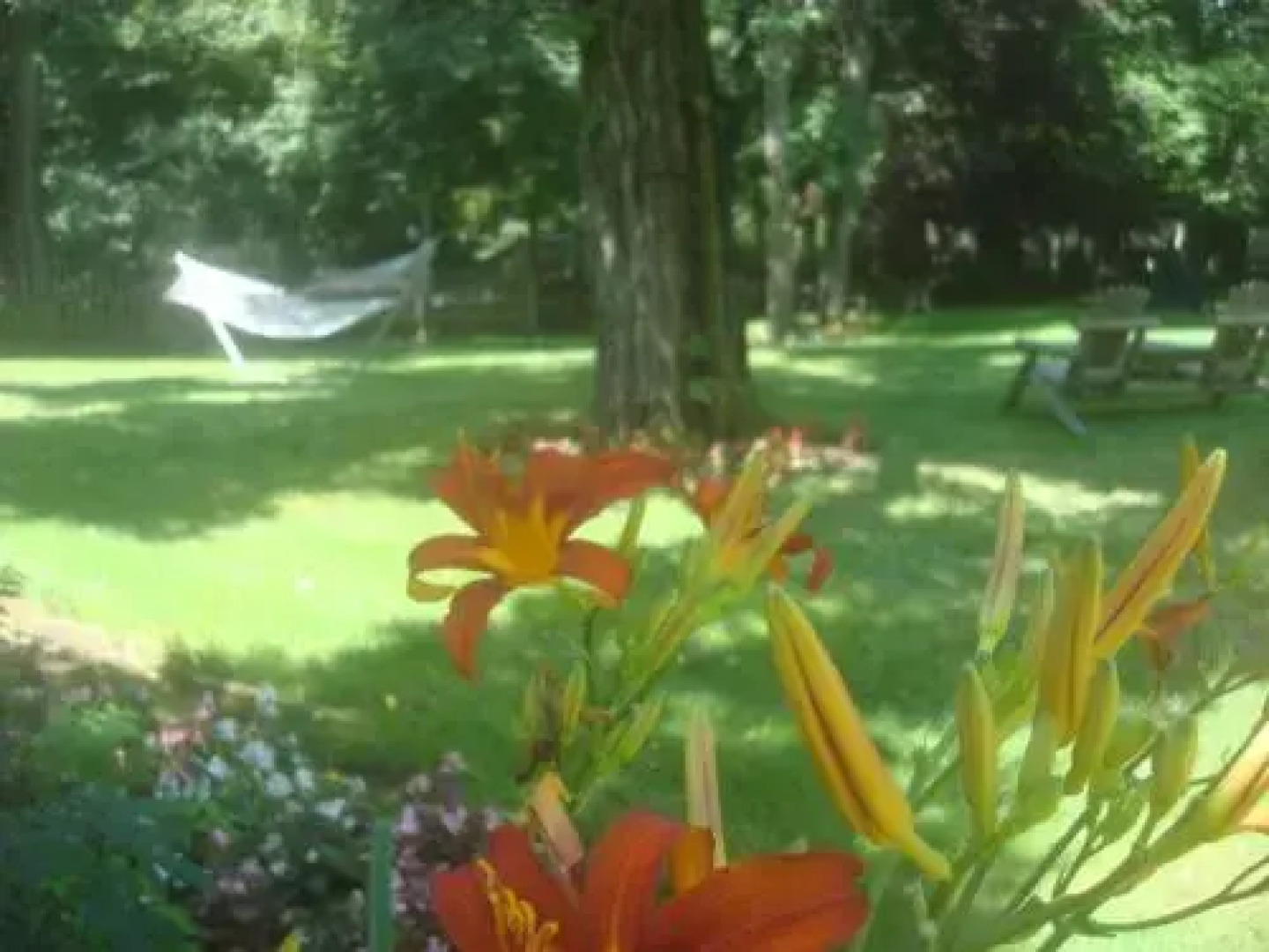 The Earl of Sandwich Motel