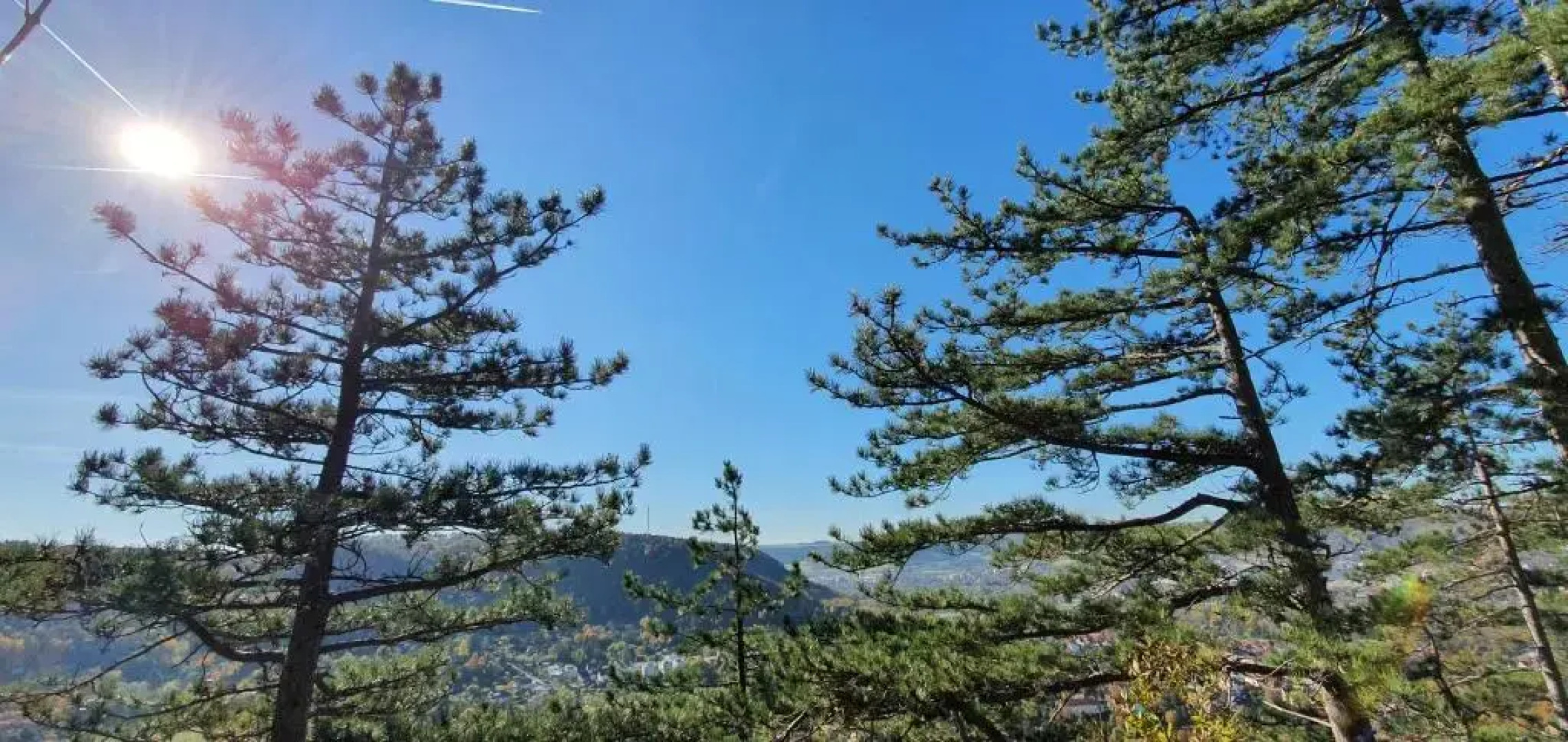 Tiny House mit Panoramablick über die Stadt Jena und das Saaletal
