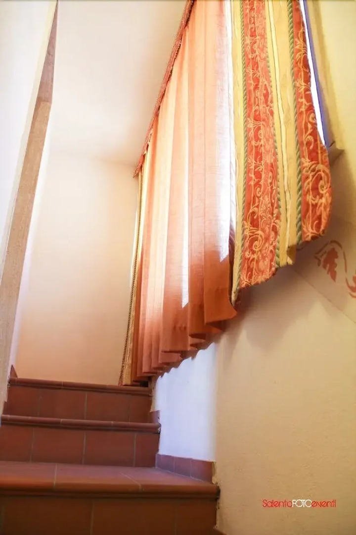 Exedra Holiday House