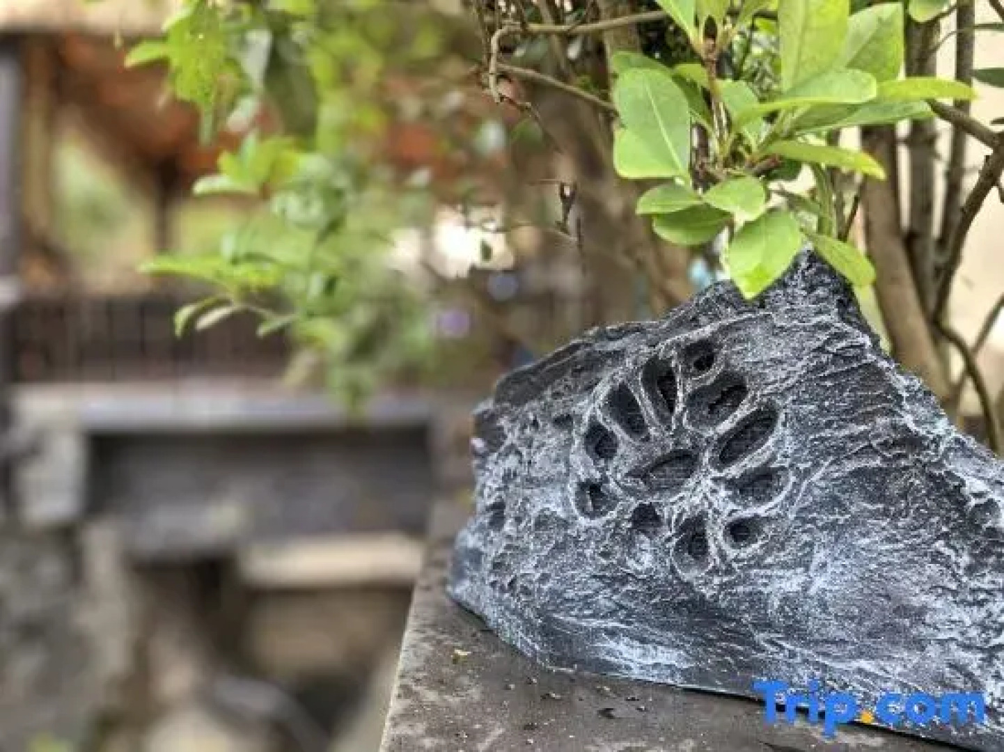 Wentangzhen Jundi Life Boutique Inn