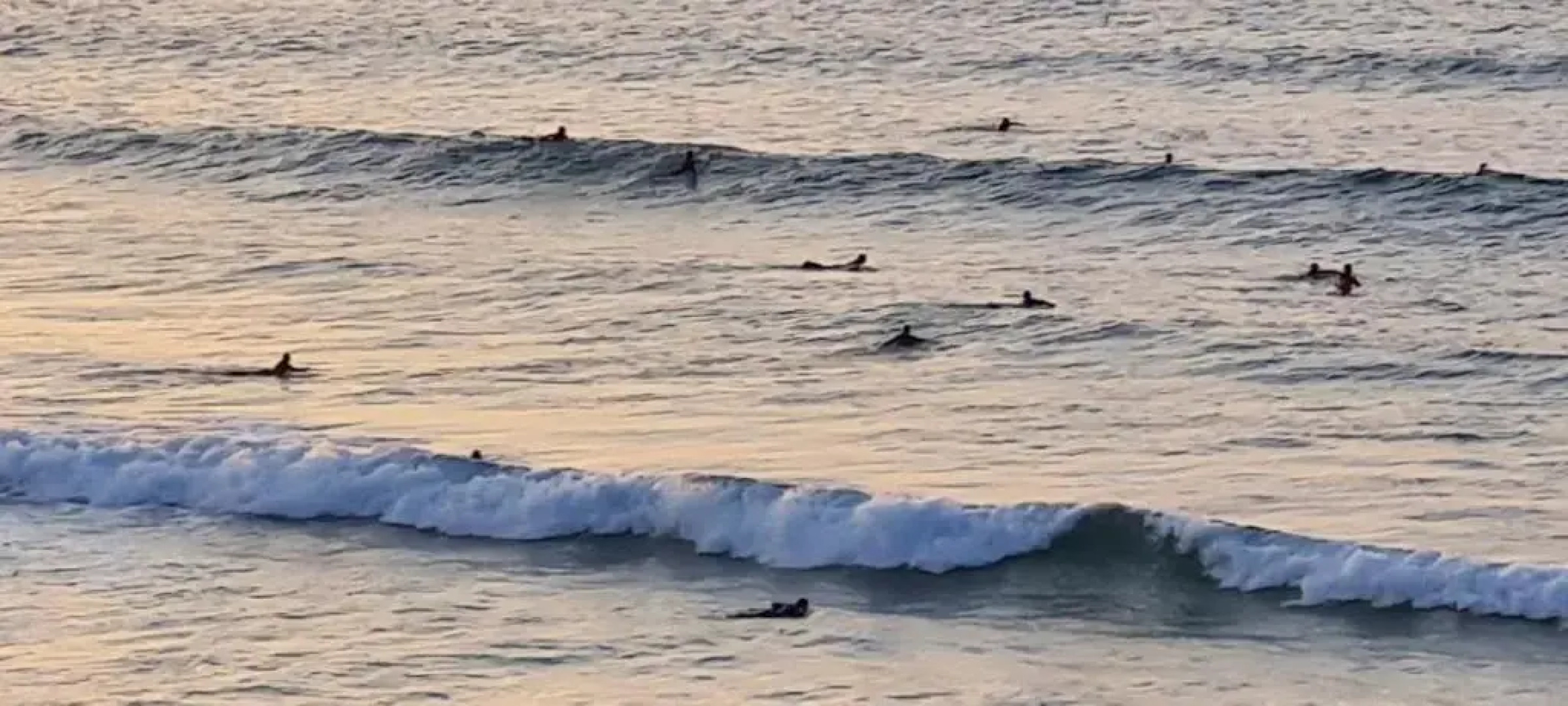 Hotel "Posada El Solar" Finca y Burger - Gintonic Bar