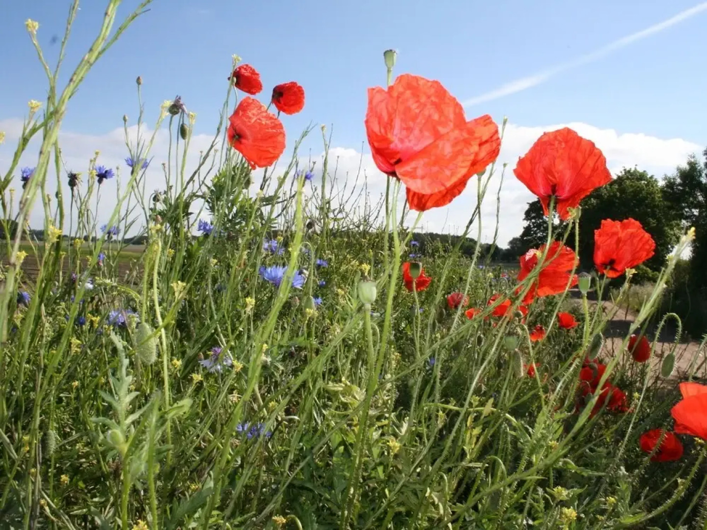 Appartement am Meer auf der Insel Poel mit Sauna