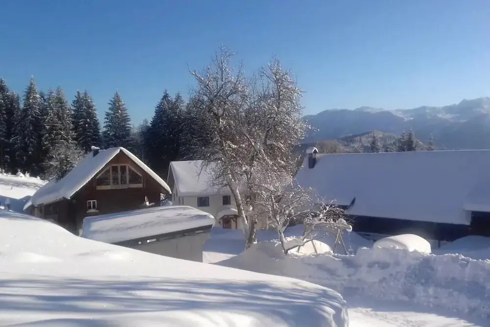 Ferienhaus Zwickelreith