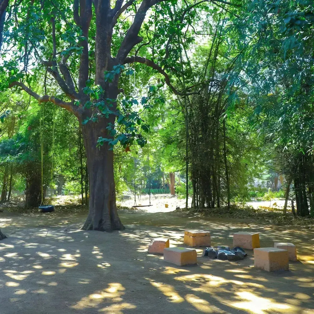 Tiger N Woods Resort