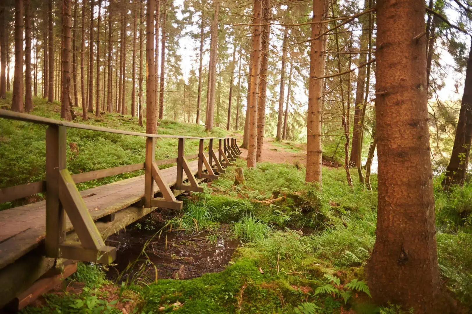 Naturkost-Hotel Harz