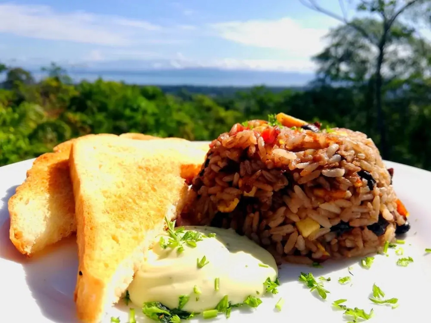 Corcovado Private Villas