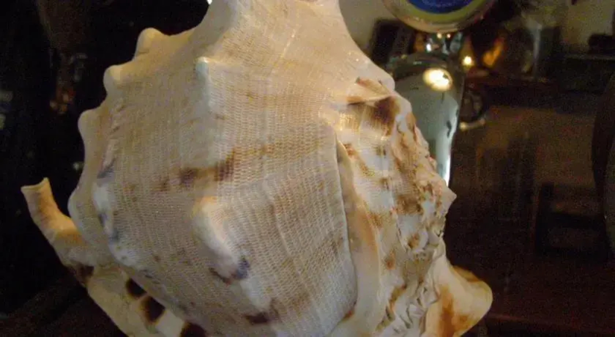 Willa Saba Międzywodzie