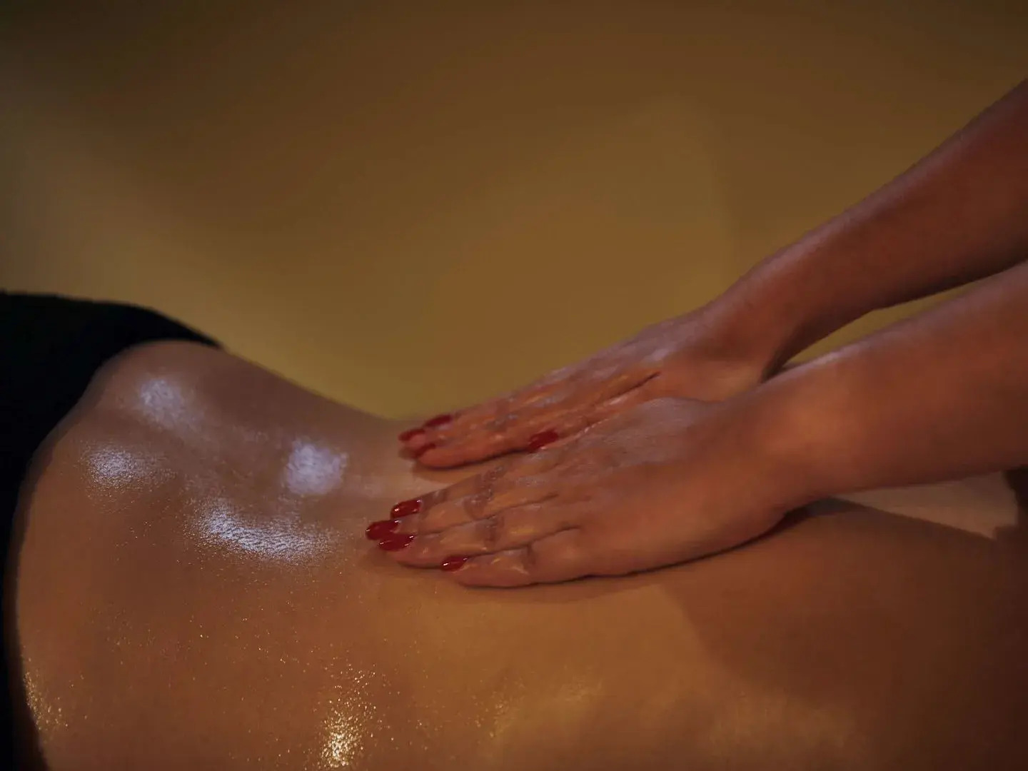 Novotel Fontainebleau Ury