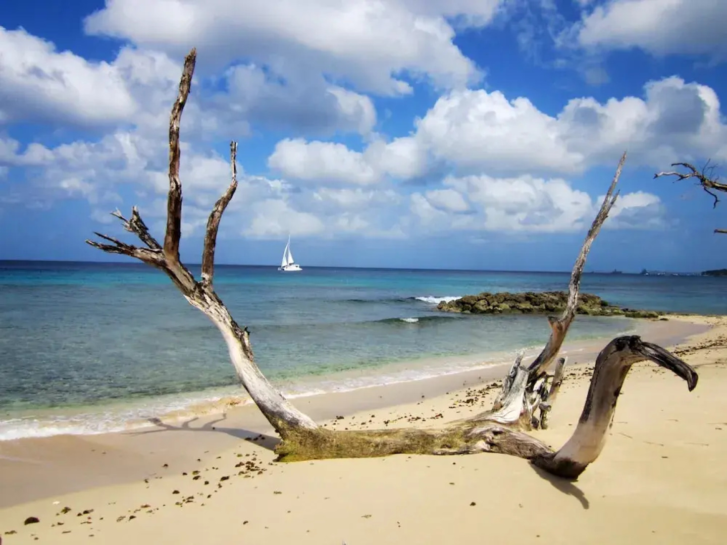 Melrose Beach Apartments