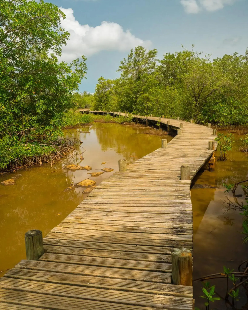 T2 Jacuzzis et piscine au centre ville de Port-Louis