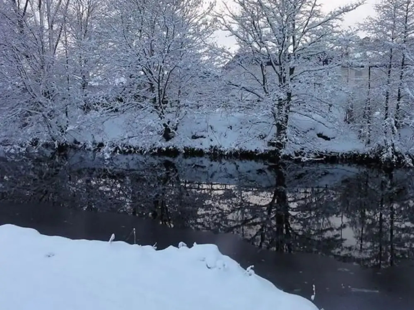 A Comfortable Cottage With all Amenities Closeby, a few Minutes Walk of Jedburgh