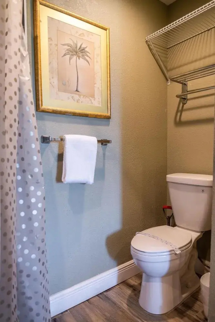 Palm Studio by Orlando Short Term