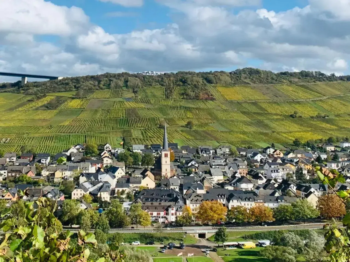 Weinhof Michael Morbach