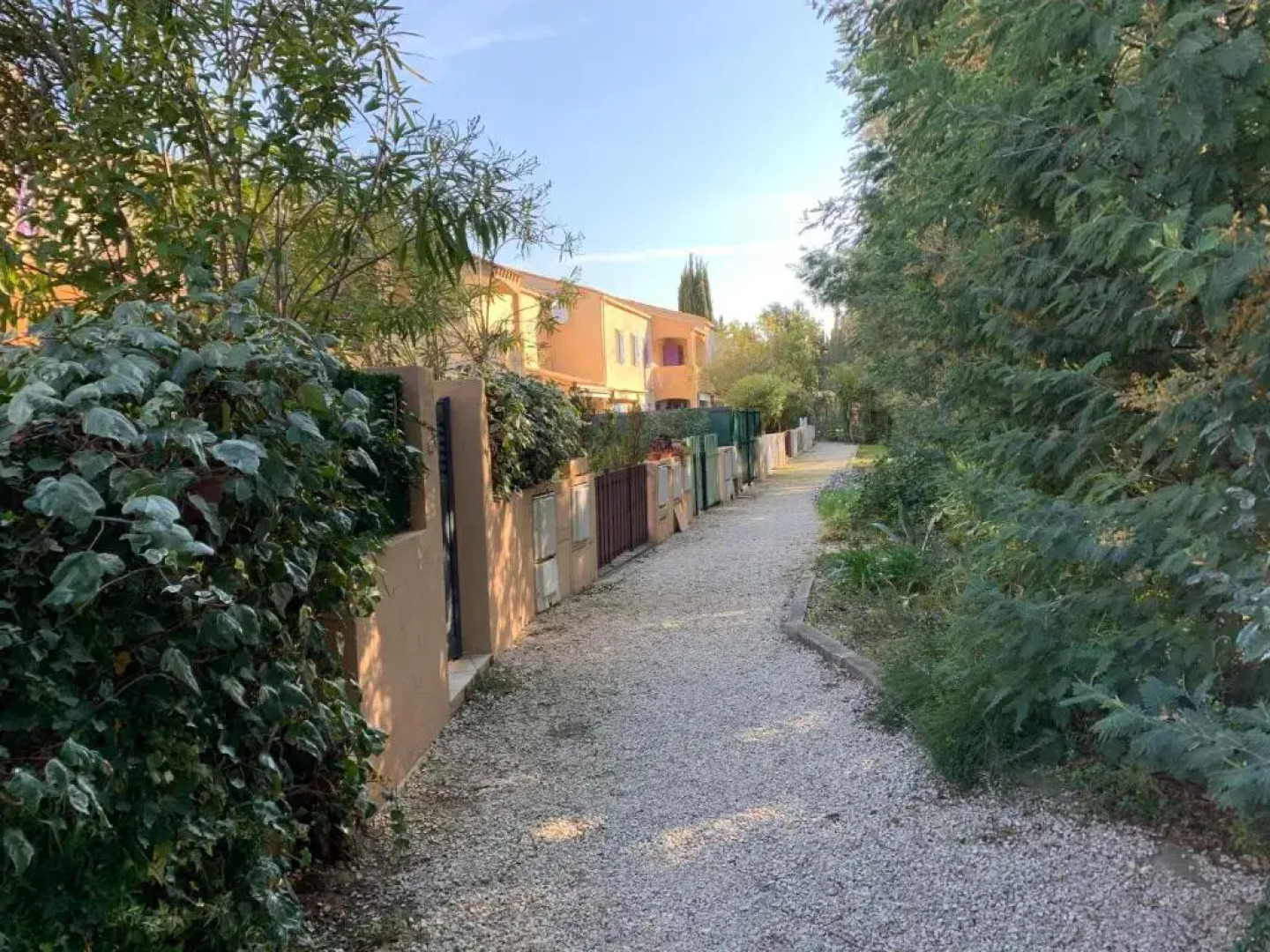 Une mouette au village de la Mer avec piscine pour 4 personne