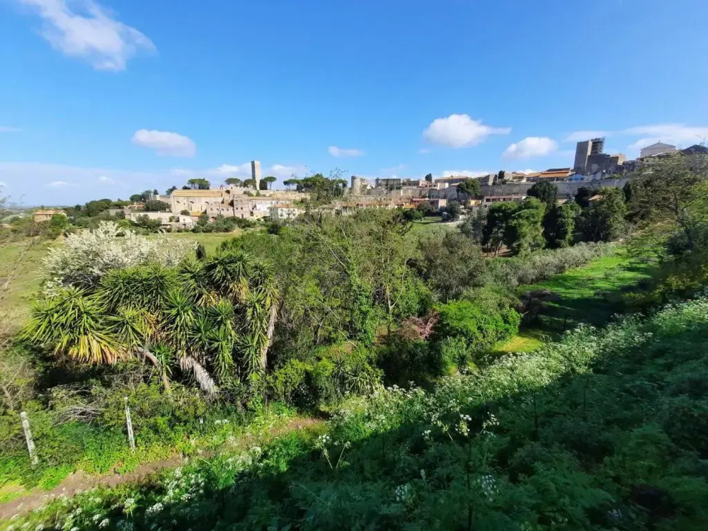 Palazzo Pico Short Lets