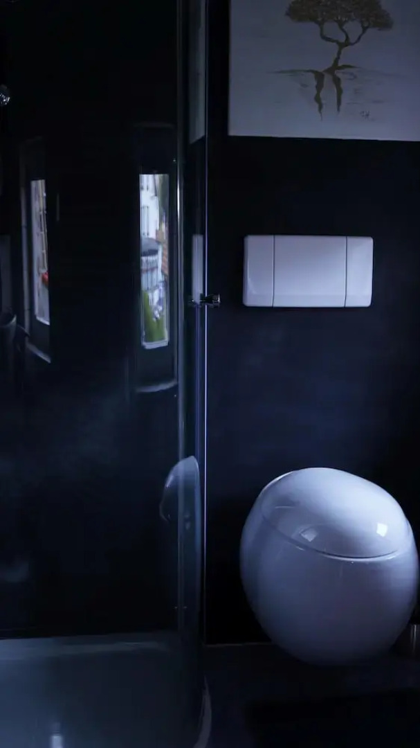 Ferienwohnungen Hochschwarzwald