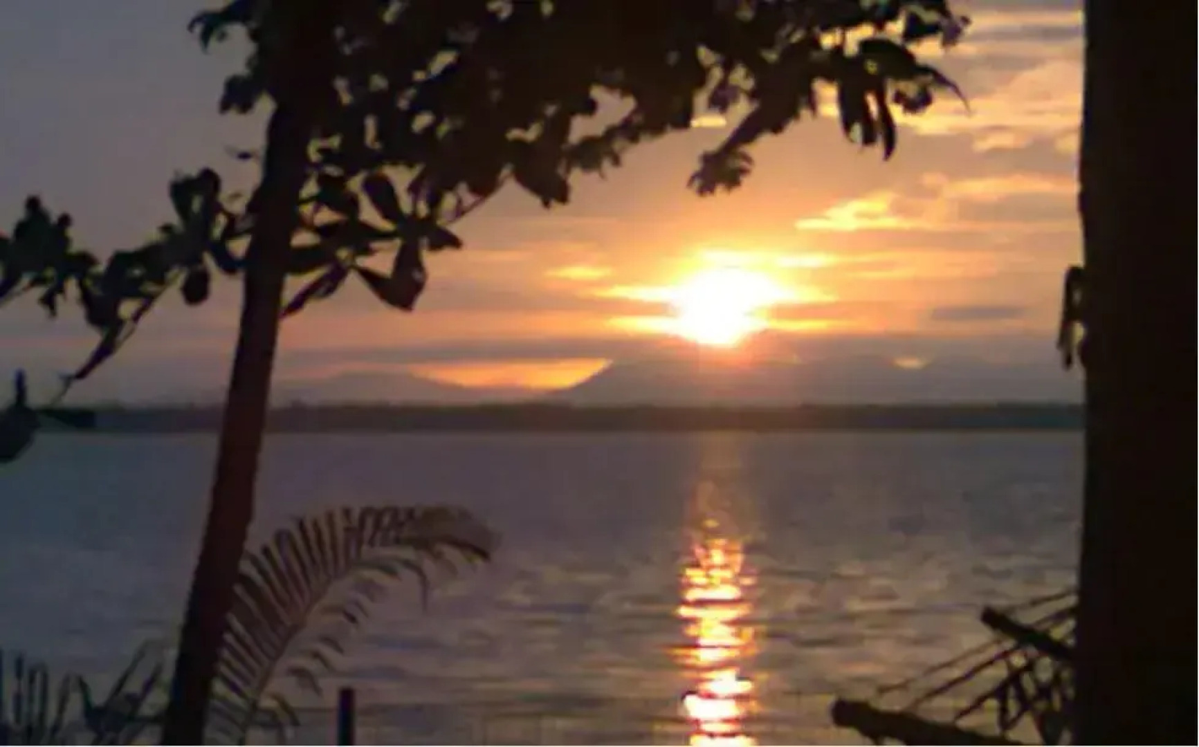 Lovedale Lakeside Homestay