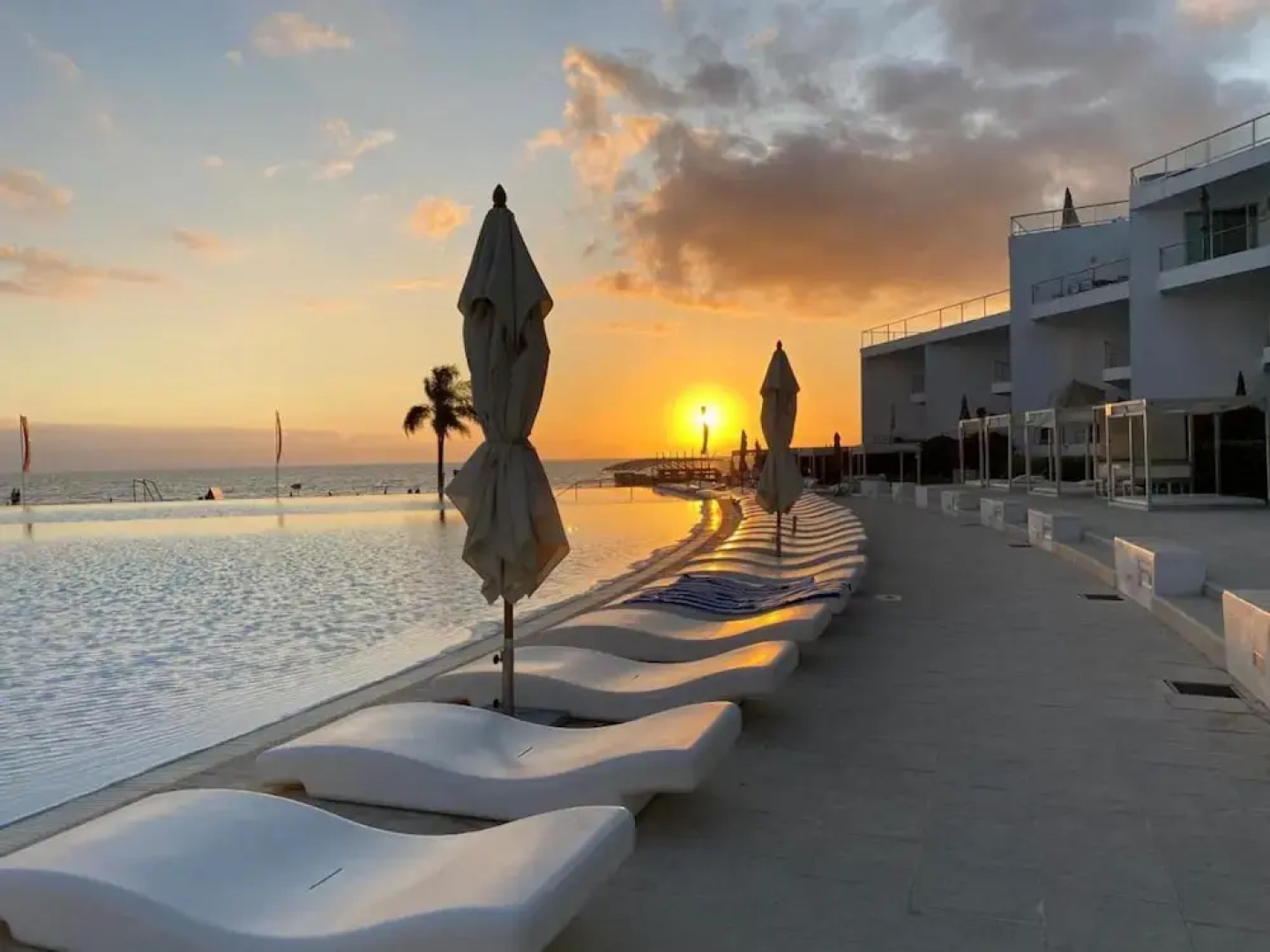 Aria Ocean 188 Flamingos