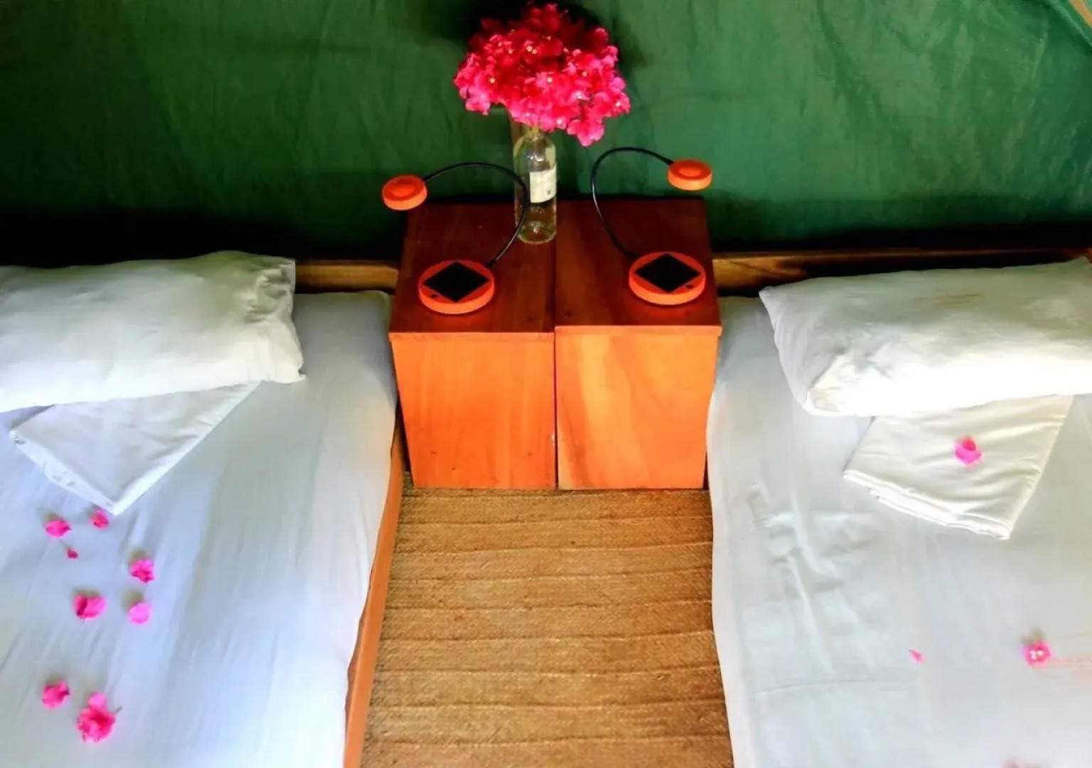 Distant Relatives Ecolodge & Backpackers