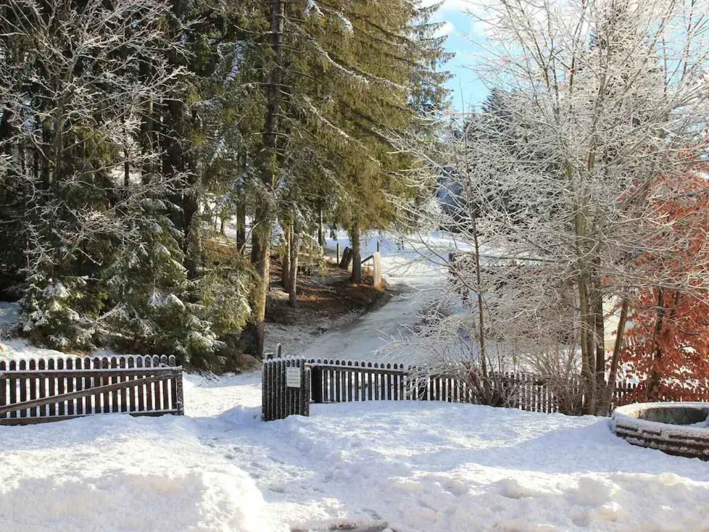Chalet in Mariapfarr Near ski Area