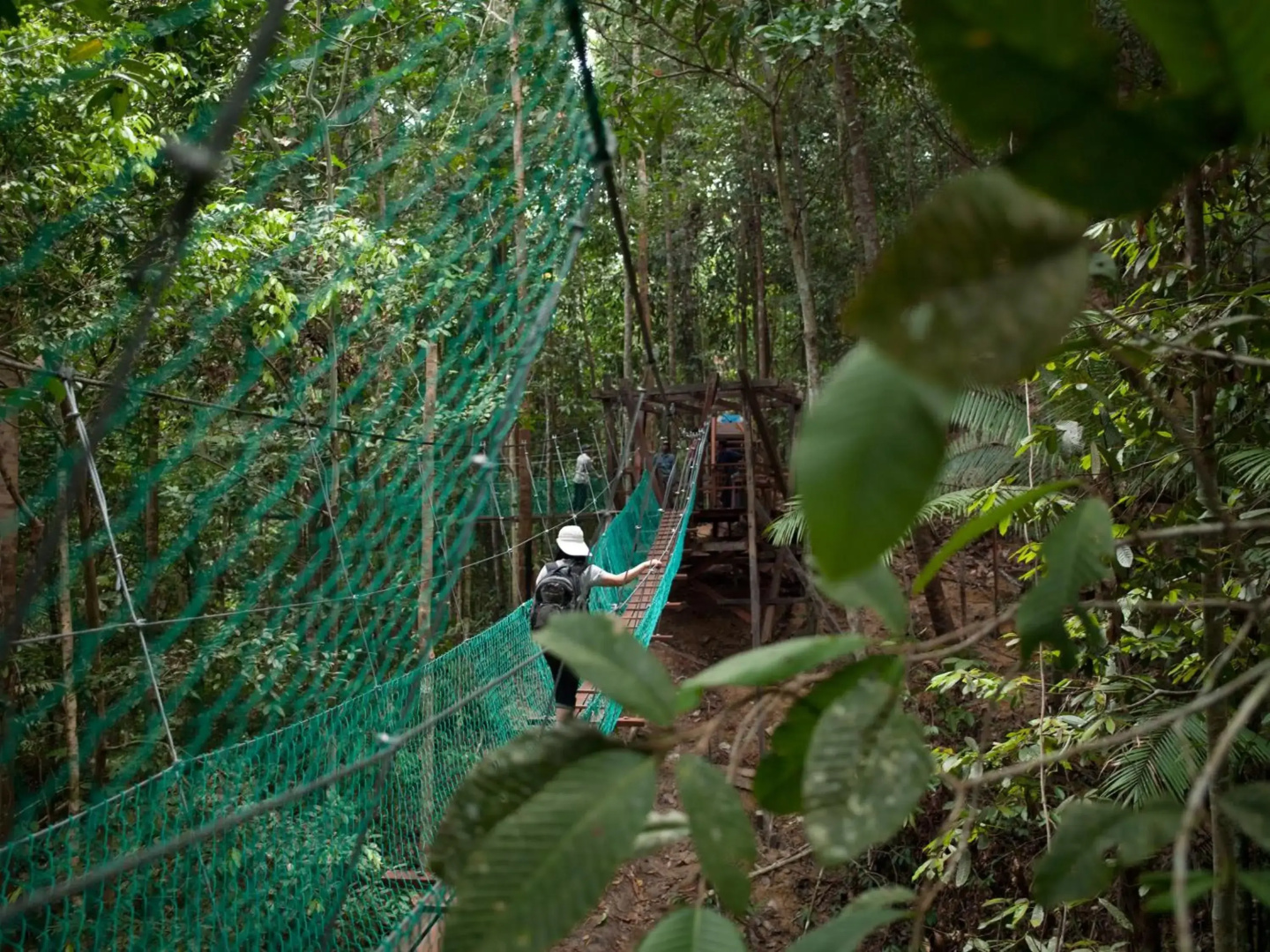 Borneo Tropical Rainforest Resort