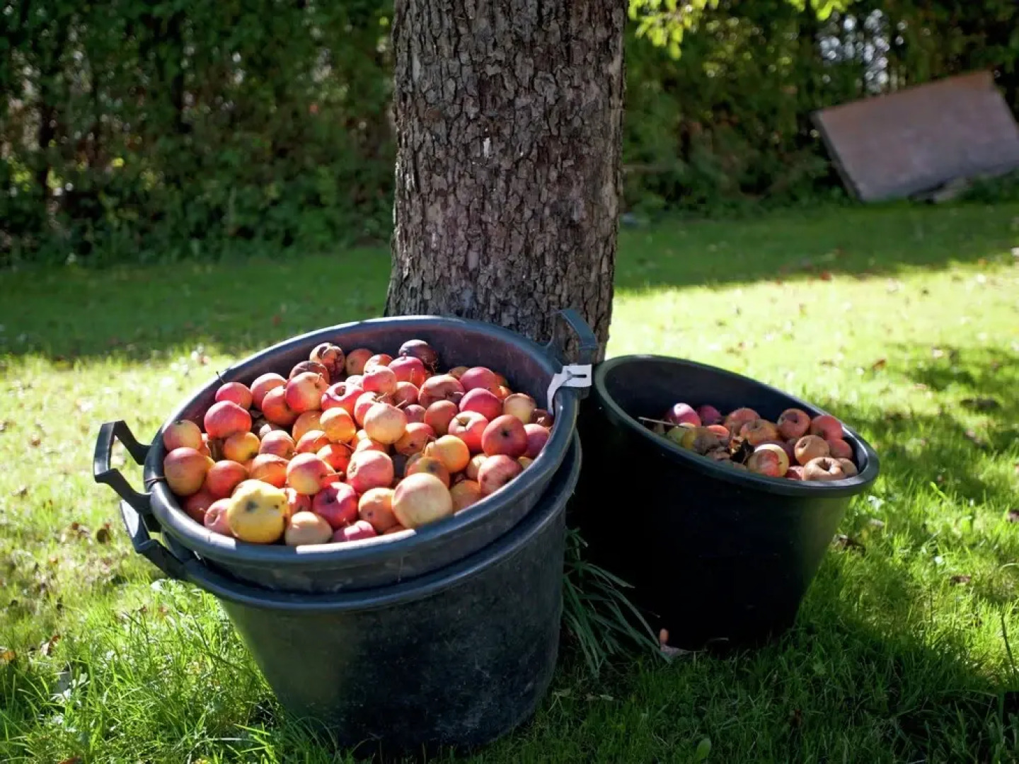 Plush Apartment in Vandans with Garden near Public Transport