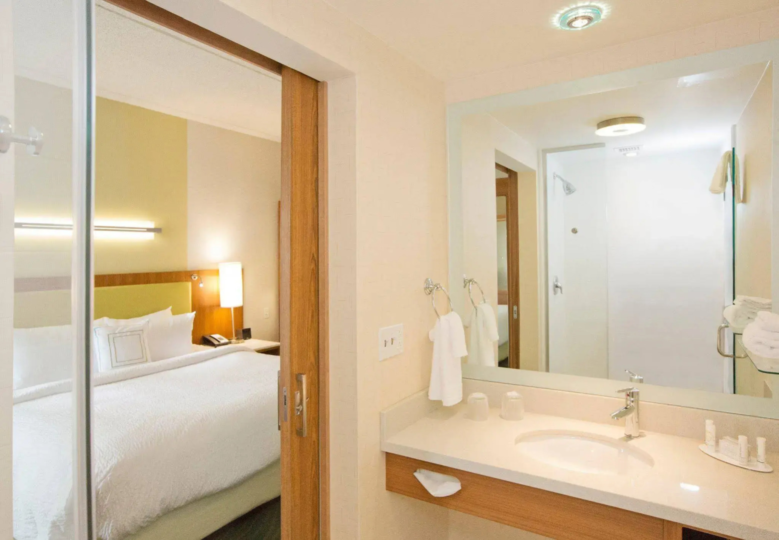 Springhill Suites by Marriott Pittsburgh Mt. Lebanon