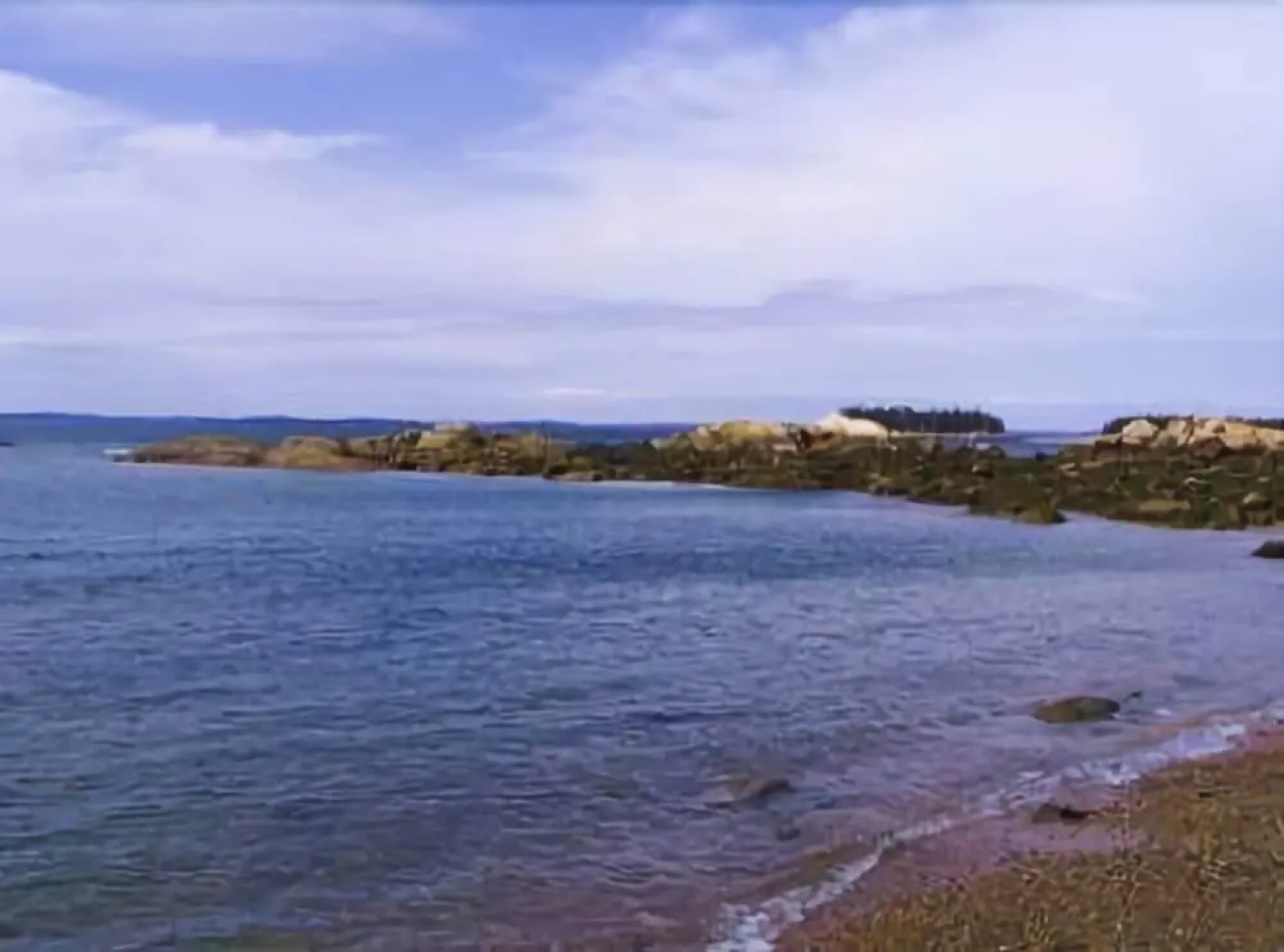 Wolfhound Cottage - One Bedroom Home