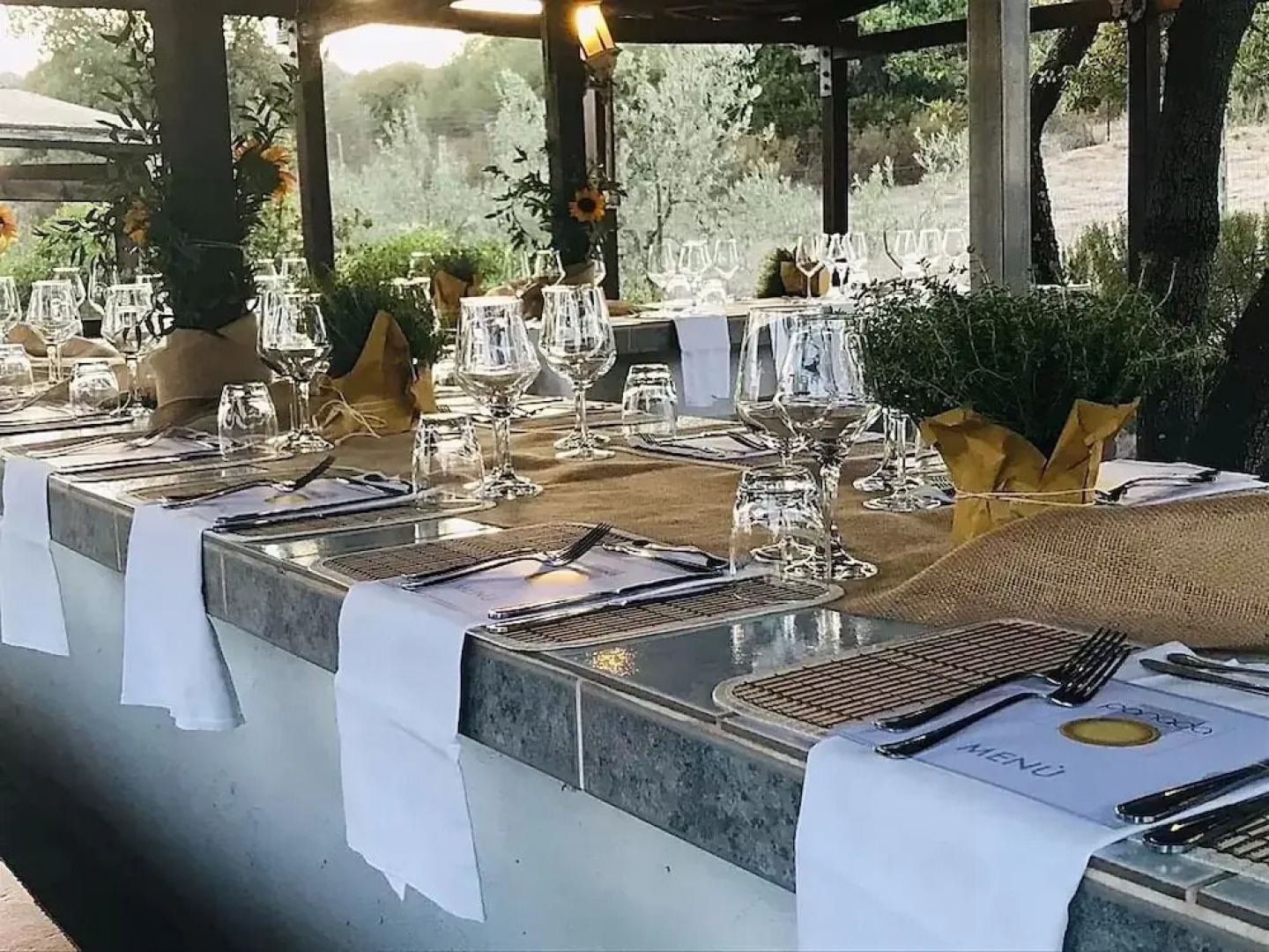 Il Nuraghe Del Lago Coghinas