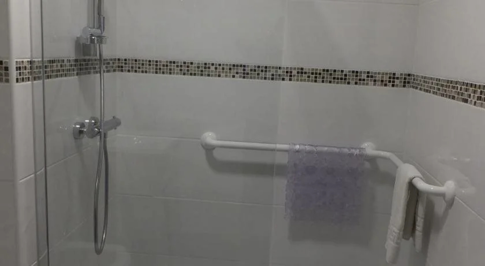 Hôtel Thermal du Parc