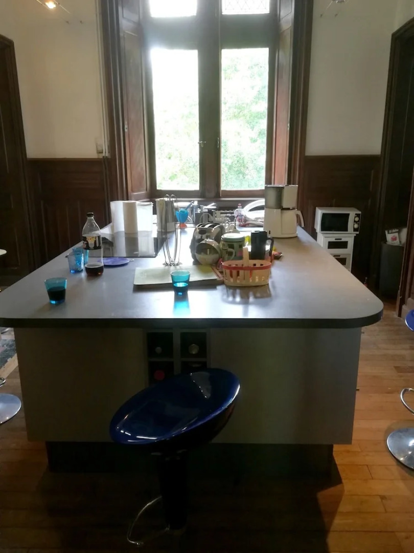 Mansion With 7 Bedrooms in Mosnay, With Enclosed Garden and Wifi