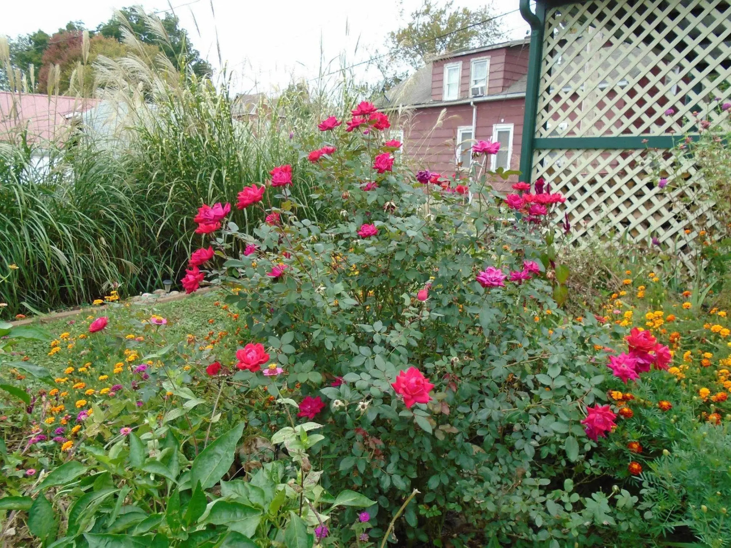 Cobbler Room & Cottage B&B & Massage