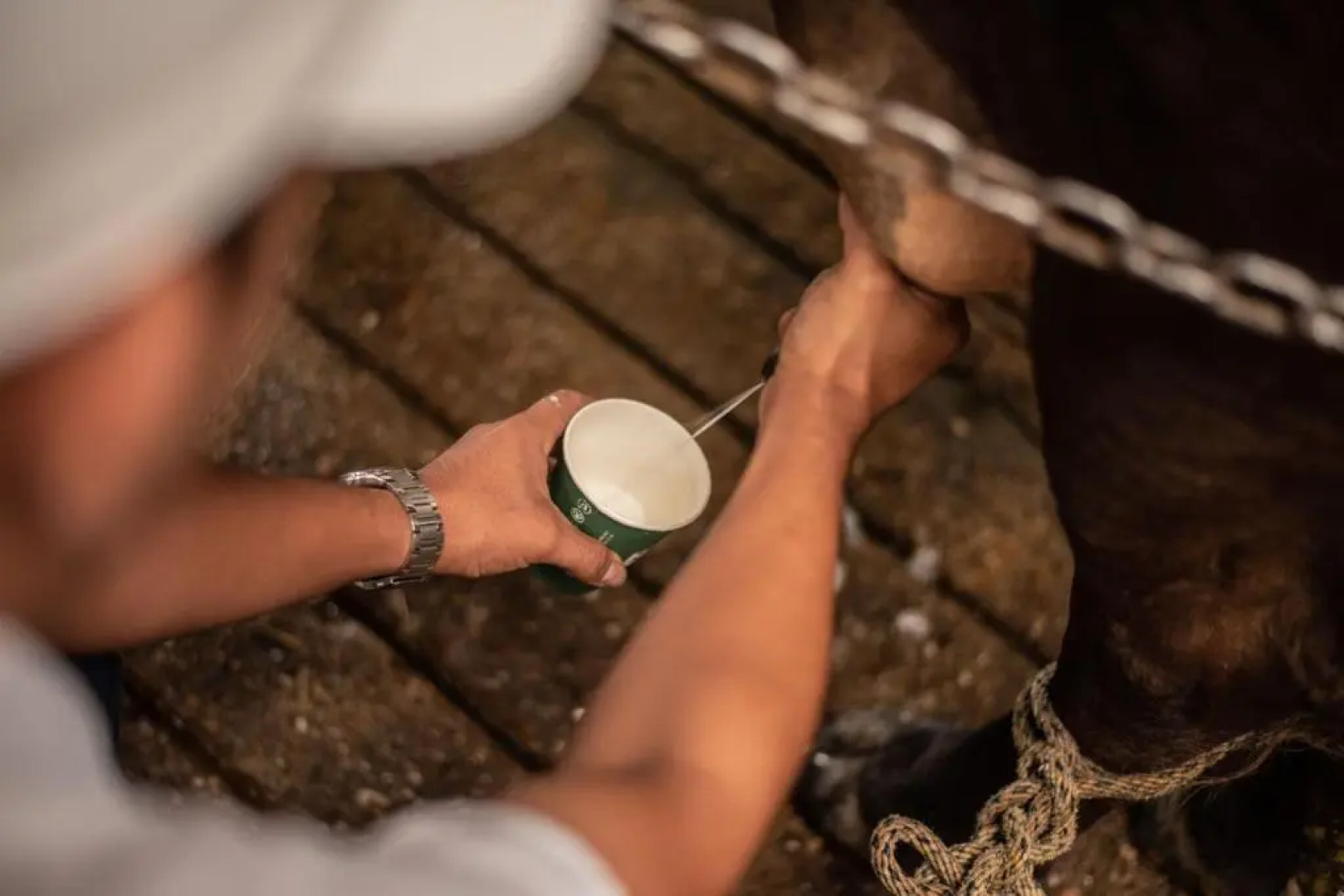 Hotel Brisas La Gaviota