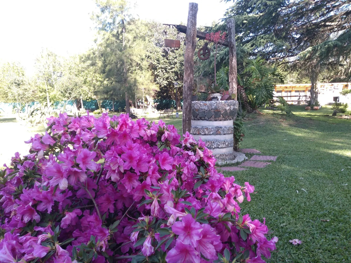 Pualy Resort & Spa