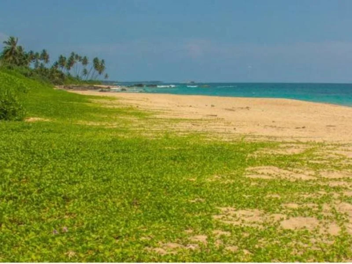 Amba Ayurveda Boutique Hotel