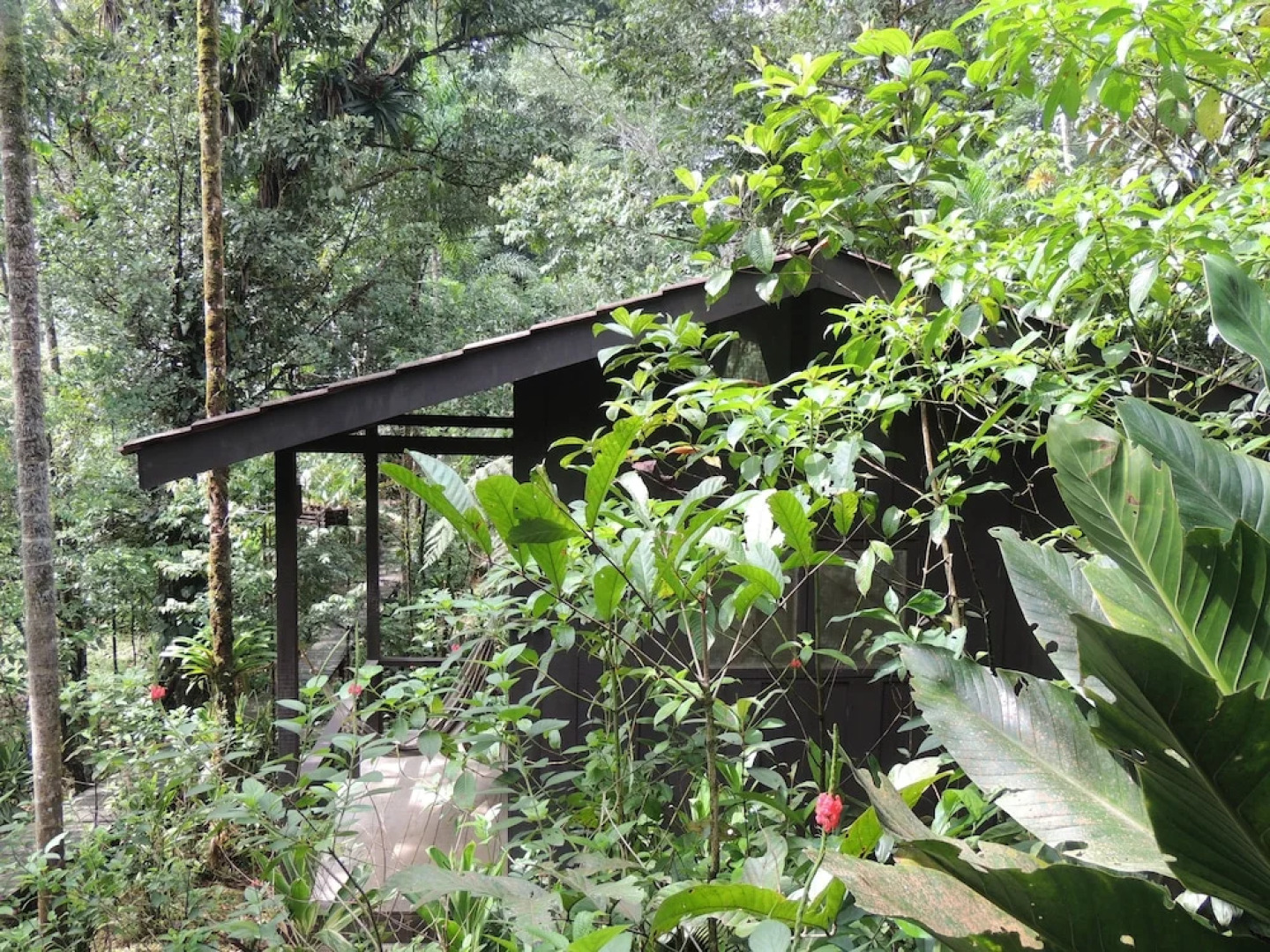 Yatama Ecolodge Sarapiqui