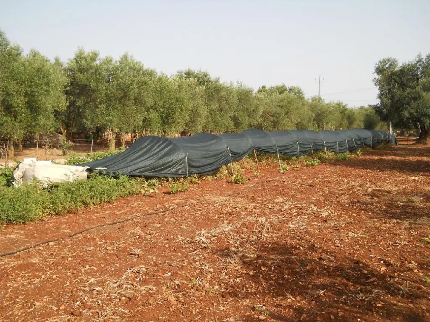 Villa Conte in Salento