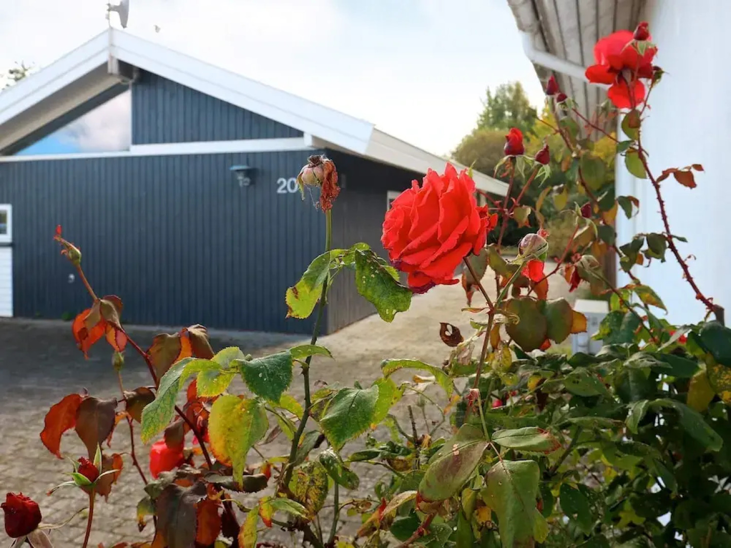 8 Person Holiday Home in Frorup-by Traum