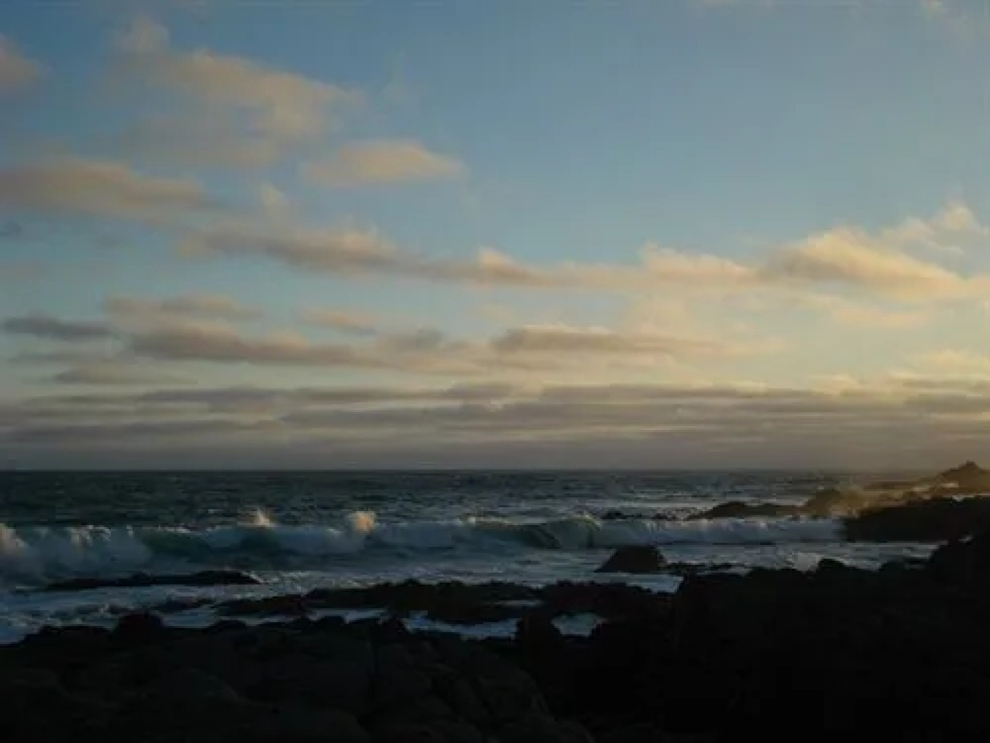 La Conexion del Poeta