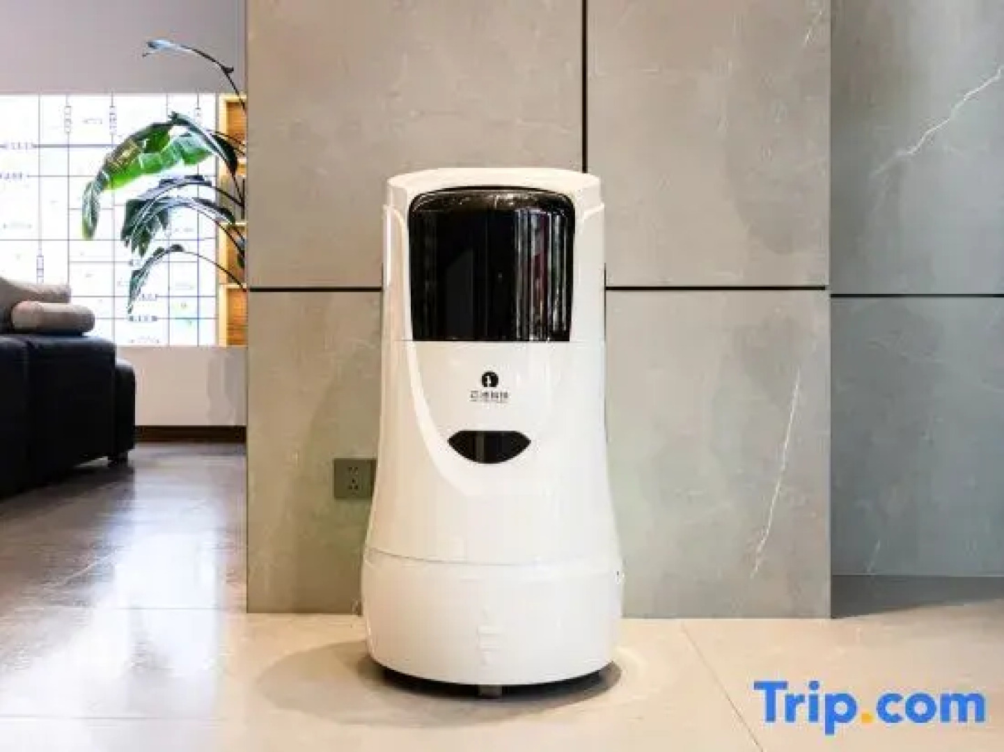 Rezen Longuu Hotel （Wuzhong Two Halls and One Center）