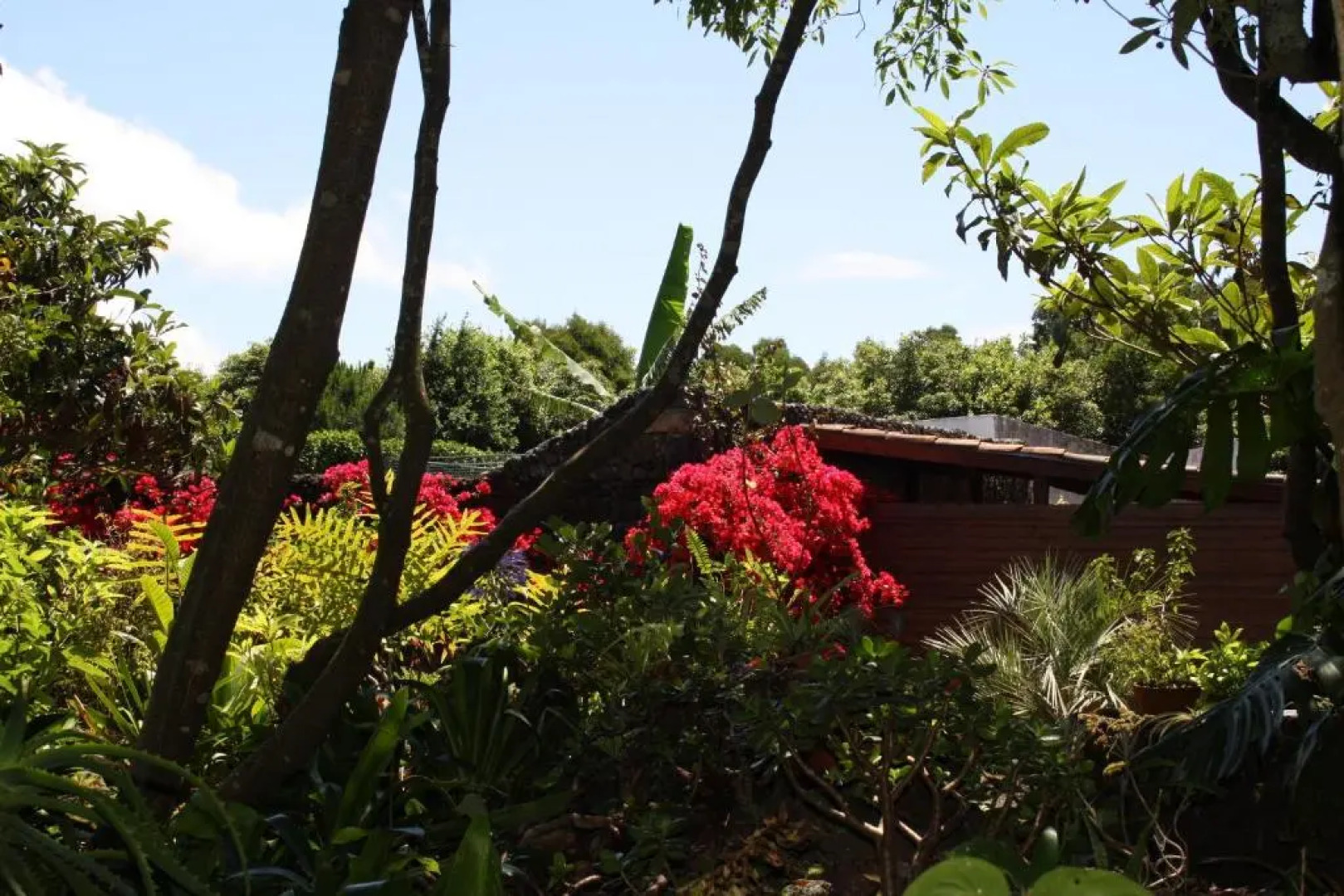 Quinta de São Caetano - São Miguel Açores