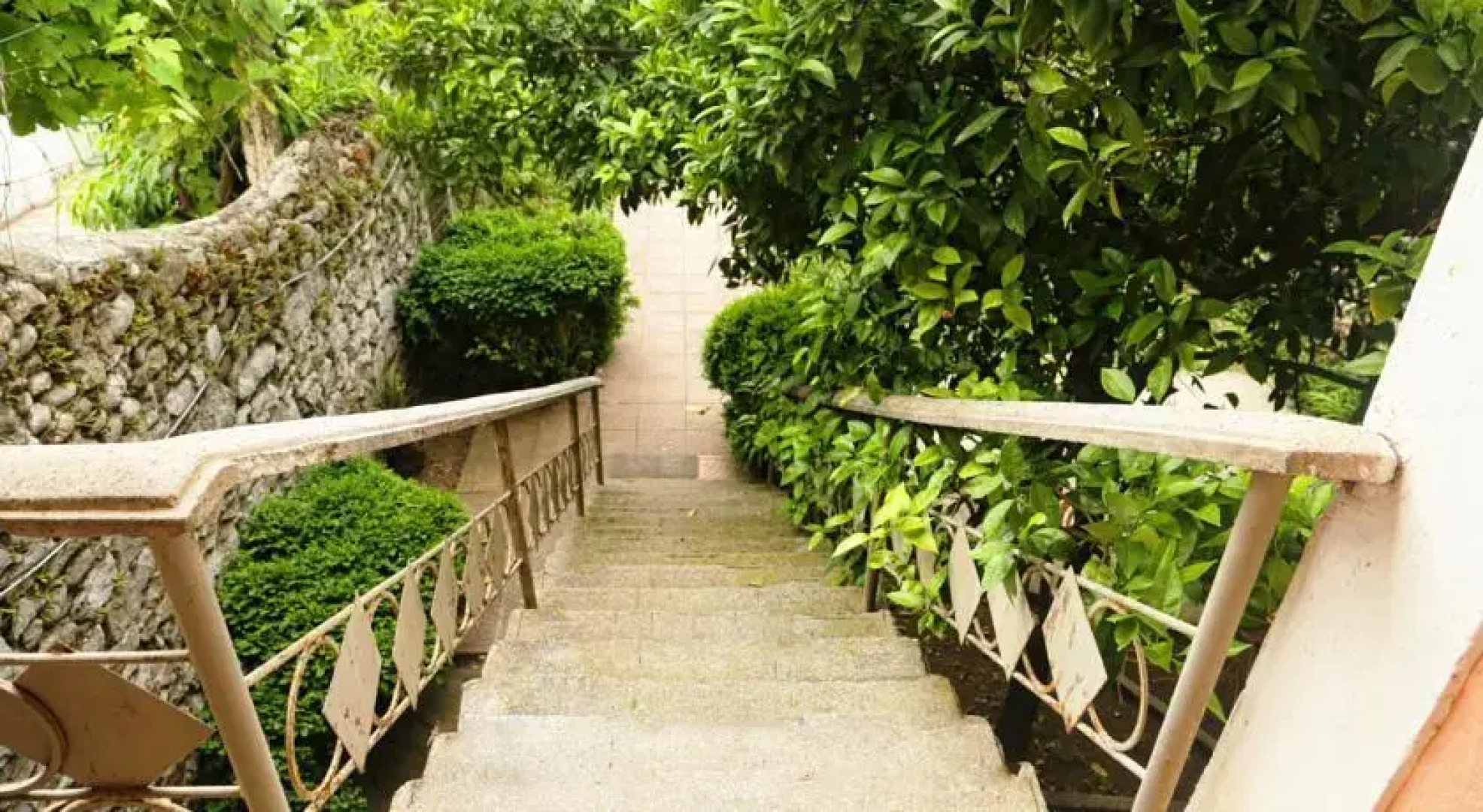 Guest House City Shkodra