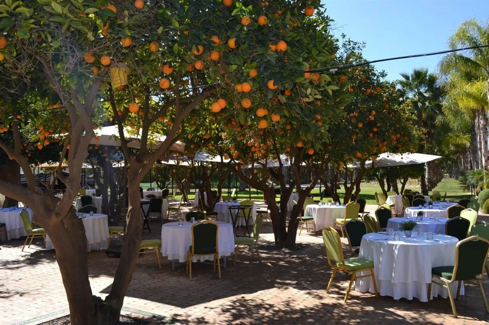 Domaine Villate Limoune