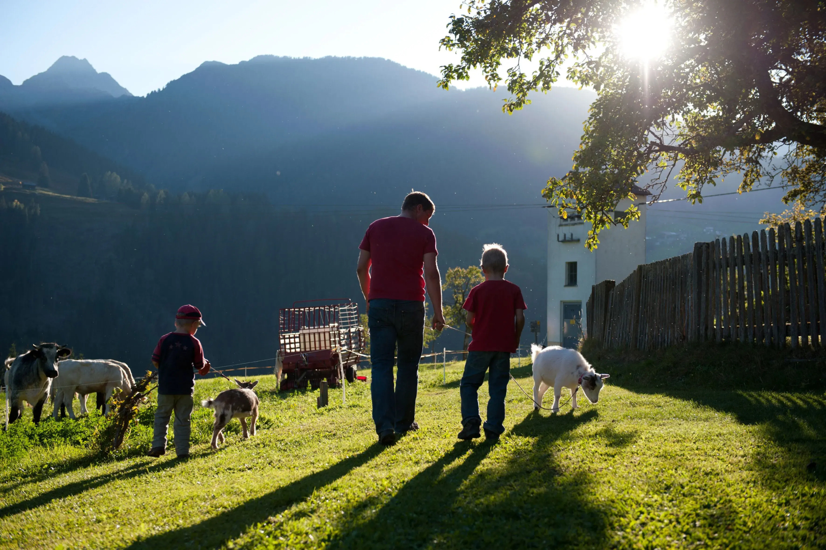 Familienbauernhof Mesner