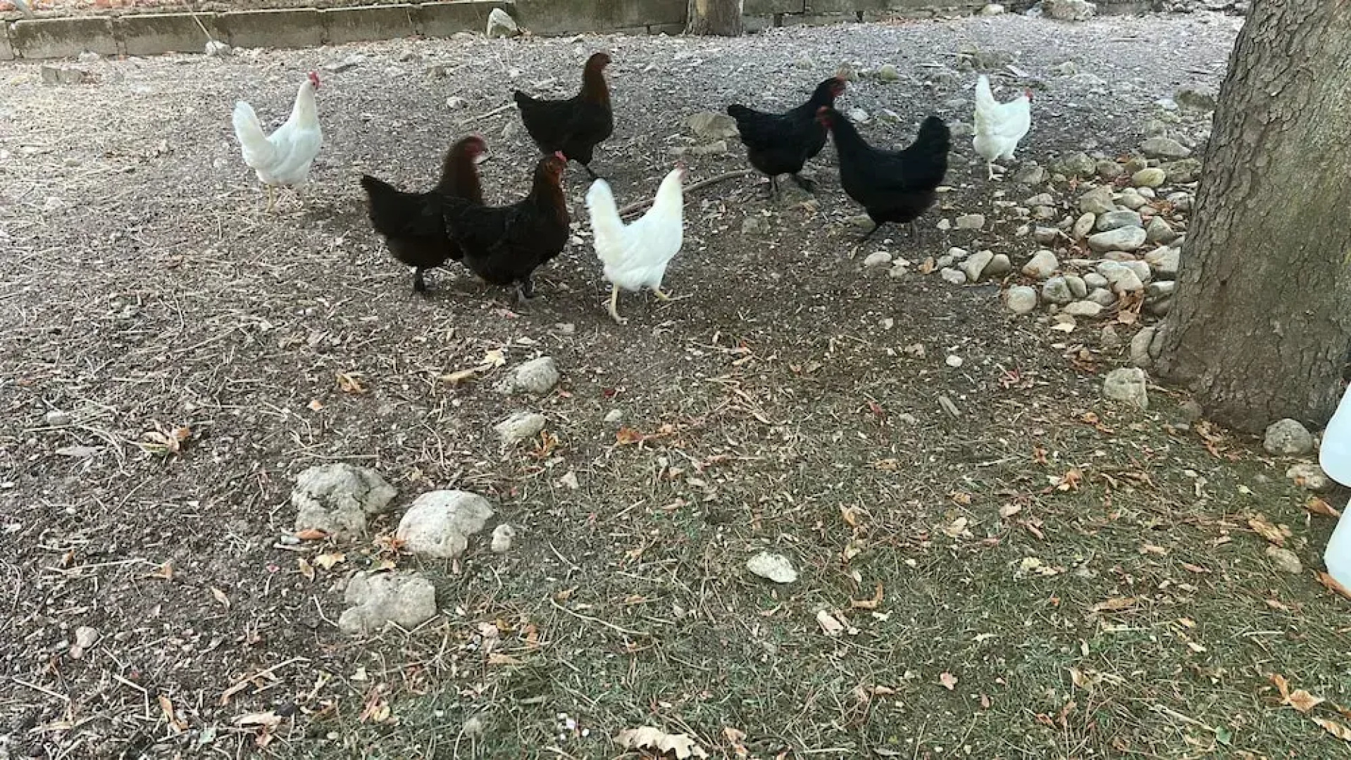 Hotel Rural Victoria by Bossh Hotels