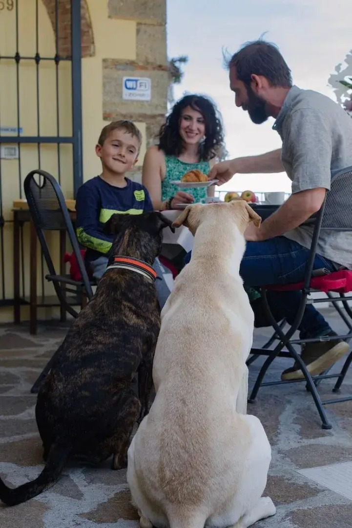 La Finestra Sul Colle B&B