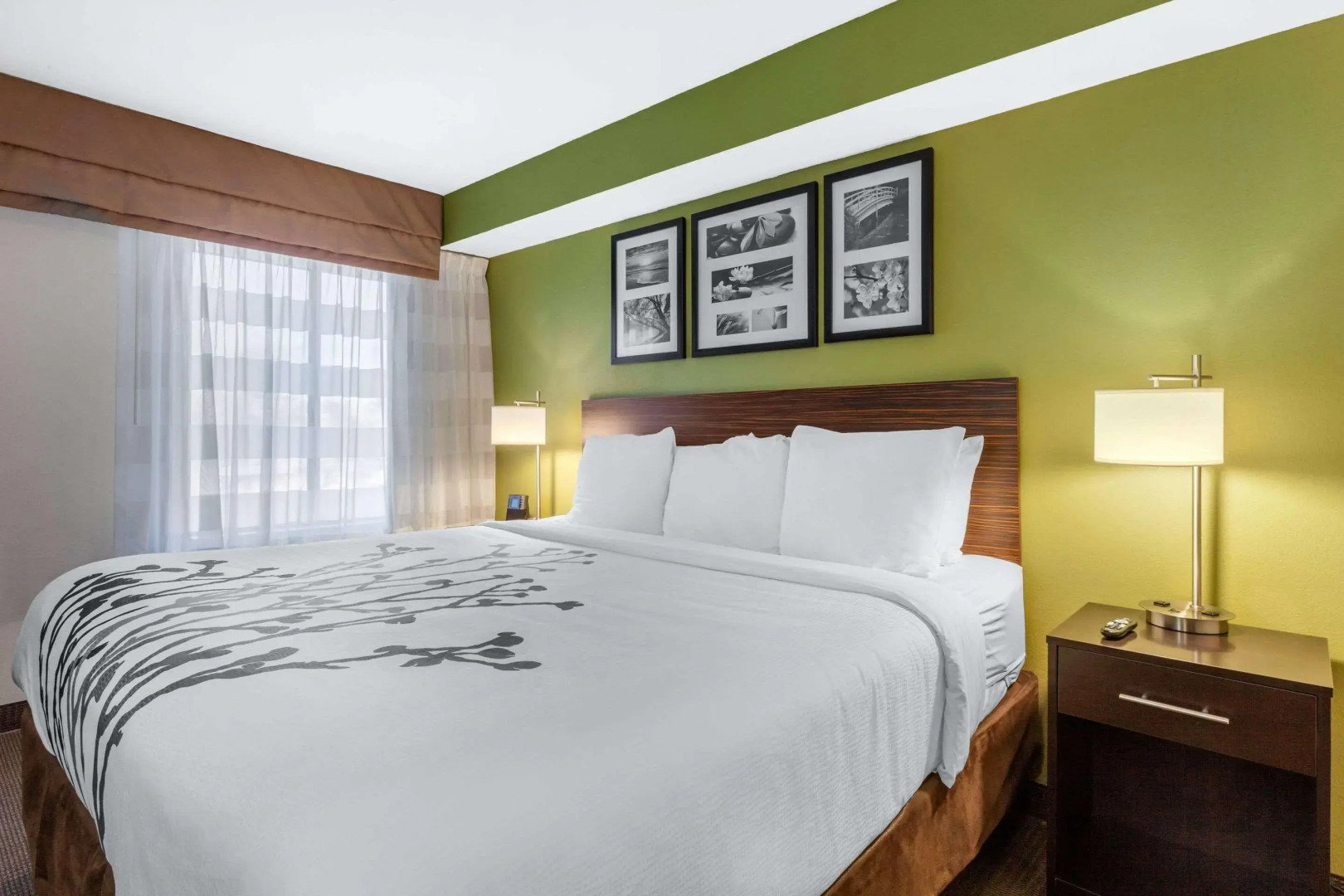 SureStay Plus by Best Western Mesa Superstition Springs