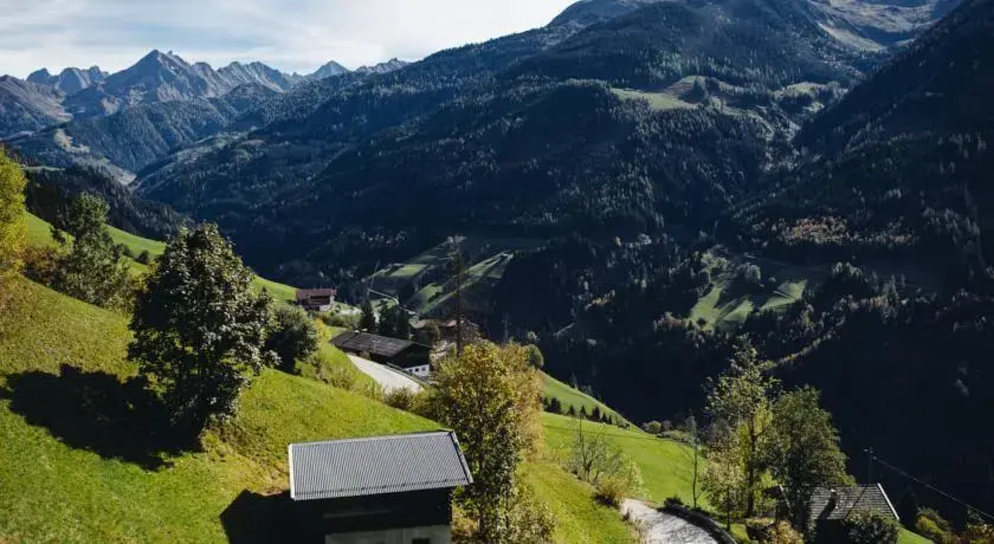 Bluebird Freeridebase Zillertal